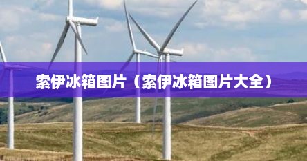 索伊冰箱图片（索伊冰箱图片大全）