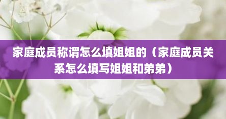 家庭成员称谓怎么填姐姐的（家庭成员关系怎么填写姐姐和弟弟）