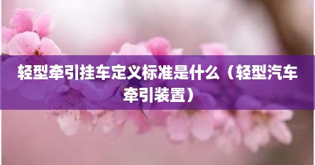 轻型牵引挂车定义标准是什么（轻型汽车牵引装置）