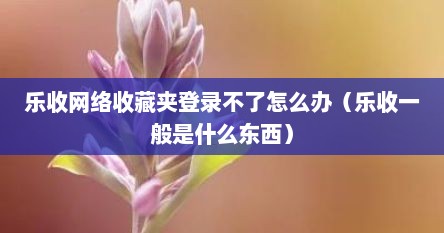 乐收网络收藏夹登录不了怎么办（乐收一般是什么东西）