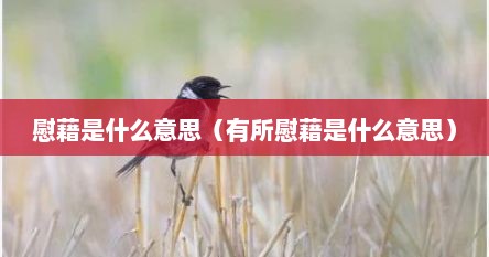 慰藉是什么意思（有所慰藉是什么意思）