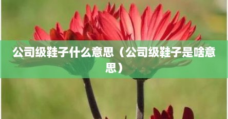 公司级鞋子什么意思（公司级鞋子是啥意思）
