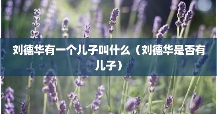 刘德华有一个儿子叫什么（刘德华是否有儿子）