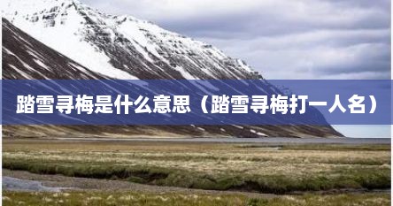 踏雪寻梅是什么意思（踏雪寻梅打一人名）
