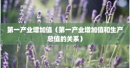 第一产业增加值（第一产业增加值和生产总值的关系）