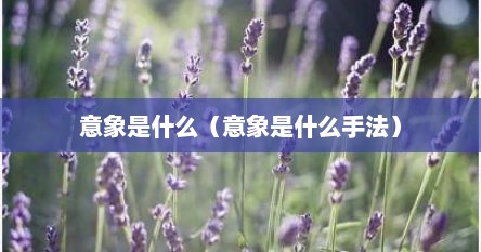 意象是什么（意象是什么手法）