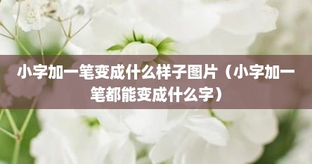 小字加一笔变成什么样子图片（小字加一笔都能变成什么字）