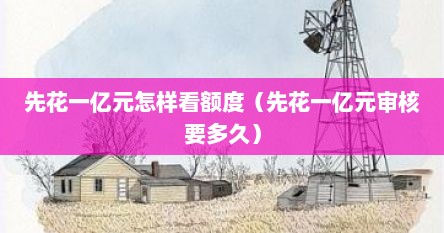 先花一亿元怎样看额度（先花一亿元审核要多久）