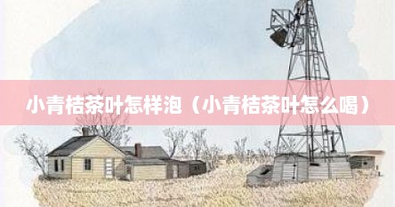 小青桔茶叶怎样泡（小青桔茶叶怎么喝）