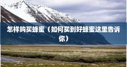 怎样购买蜂蜜（如何买到好蜂蜜这里告诉你）