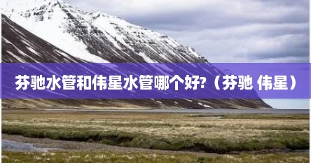 芬驰水管和伟星水管哪个好?（芬驰 伟星）