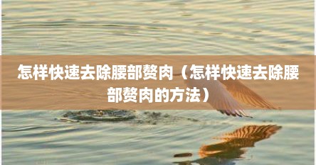 怎样快速去除腰部赘肉（怎样快速去除腰部赘肉的方法）