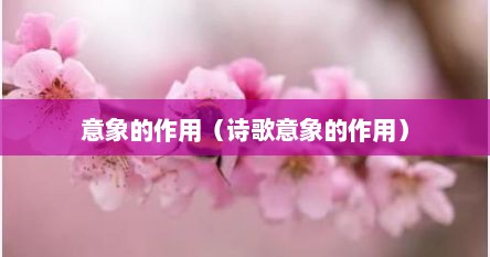 意象的作用（诗歌意象的作用）