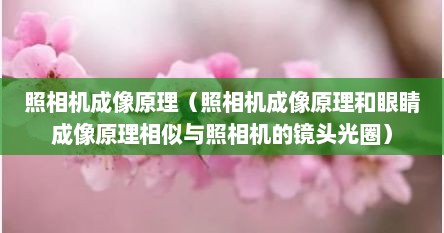 照相机成像原理（照相机成像原理和眼睛成像原理相似与照相机的镜头光圈）