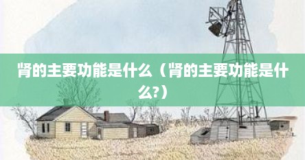肾的主要功能是什么（肾的主要功能是什么?）