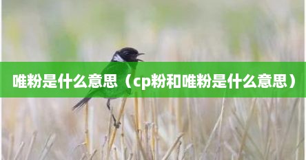 唯粉是什么意思（cp粉和唯粉是什么意思）