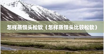 怎样蒸馒头松软（怎样蒸馒头比较松软）