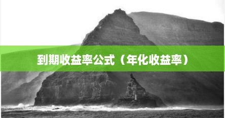 到期收益率公式（年化收益率）