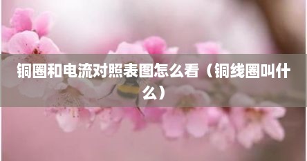 铜圈和电流对照表图怎么看（铜线圈叫什么）