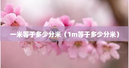 一米等于多少分米（1m等于多少分米）