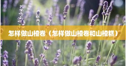 怎样做山楂卷（怎样做山楂卷和山楂糕）