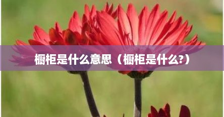 橱柜是什么意思（橱柜是什么?）