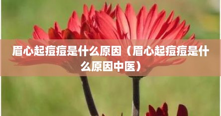 眉心起痘痘是什么原因（眉心起痘痘是什么原因中医）