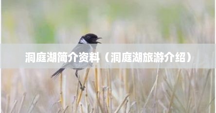 洞庭湖简介资料（洞庭湖旅游介绍）