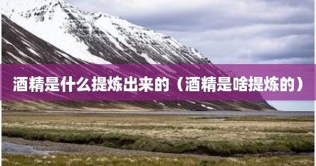 酒精是什么提炼出来的（酒精是啥提炼的）