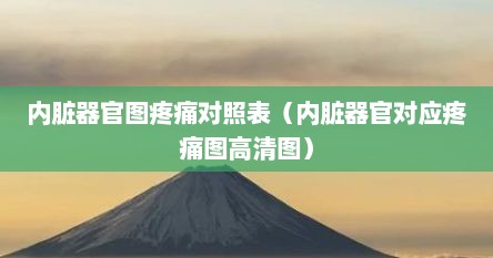 内脏器官图疼痛对照表（内脏器官对应疼痛图高清图）