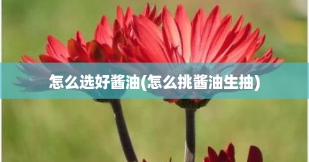 怎么选好酱油(怎么挑酱油生抽)