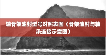 轴骨架油封型号对照表图（骨架油封与轴承连接示意图）