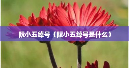 阮小五绰号（阮小五绰号是什么）
