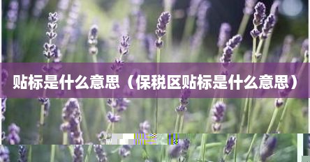 贴标是什么意思（保税区贴标是什么意思）