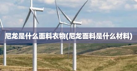 尼龙是什么面料衣物(尼龙面料是什么材料)
