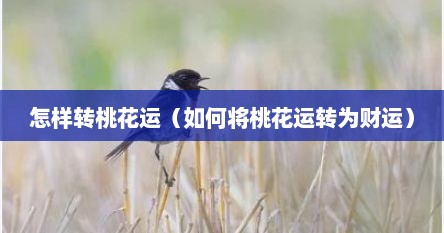 怎样转桃花运（如何将桃花运转为财运）