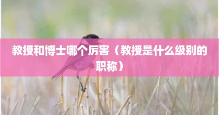 教授和博士哪个厉害（教授是什么级别的职称）