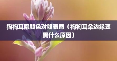 狗狗耳廓颜色对照表图（狗狗耳朵边缘变黑什么原因）