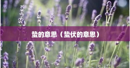 蛰伏是什么意思呀（蛰伏 意思）