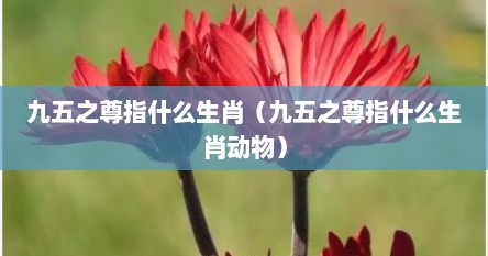 九五之尊指什么生肖（九五之尊指什么生肖动物）