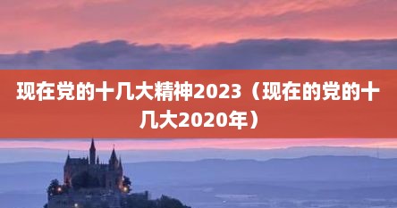 现在党的十几大精神2023（现在的党的十几大2020年）