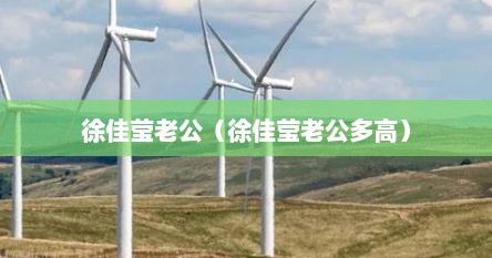徐佳莹老公（徐佳莹老公多高）