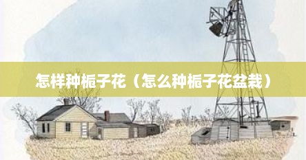 怎样种栀子花（怎么种栀子花盆栽）