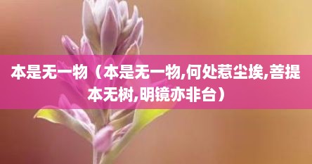 本是无一物（本是无一物,何处惹尘埃,菩提本无树,明镜亦非台）