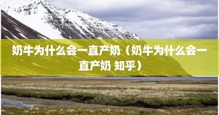 奶牛为什么会一直产奶（奶牛为什么会一直产奶 知乎）