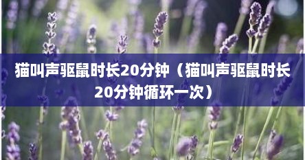 猫叫声驱鼠时长20分钟（猫叫声驱鼠时长20分钟循环一次）