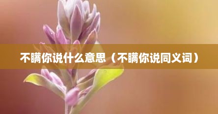 不瞒你说什么意思（不瞒你说同义词）