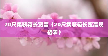 20尺集装箱长宽高（20尺集装箱长宽高规格表）