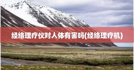 经络理疗仪对人体有害吗(经络理疗机)