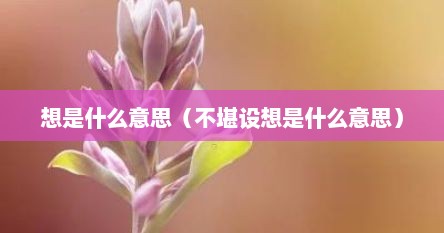 想是什么意思（不堪设想是什么意思）